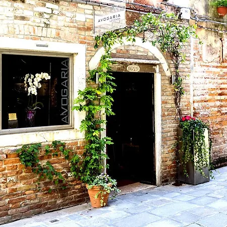 Avogaria 5 Venezia