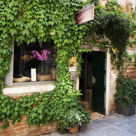 Affittacamere Avogaria 5 Venezia