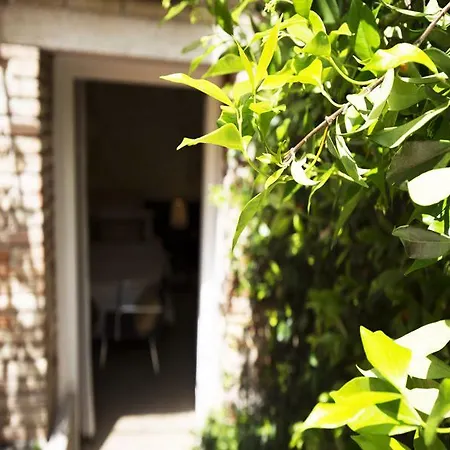 Casa de hóspedes Avogaria 5