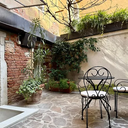 Avogaria 5